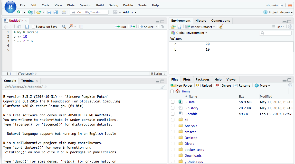 3.2 RStudio interface | Introduction to R (2021)