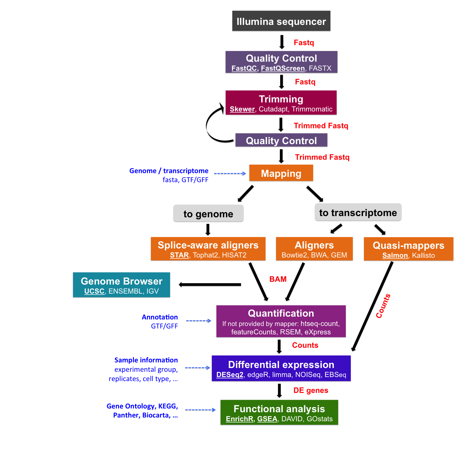 genome-comparison-casts-light-on-dark-areas-of-dna-national