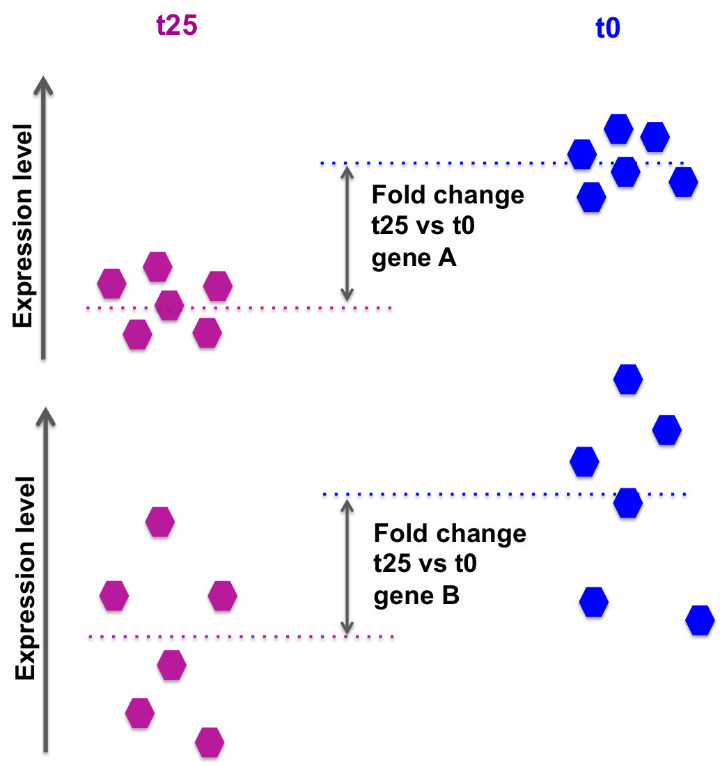 RNA-seq dispersion