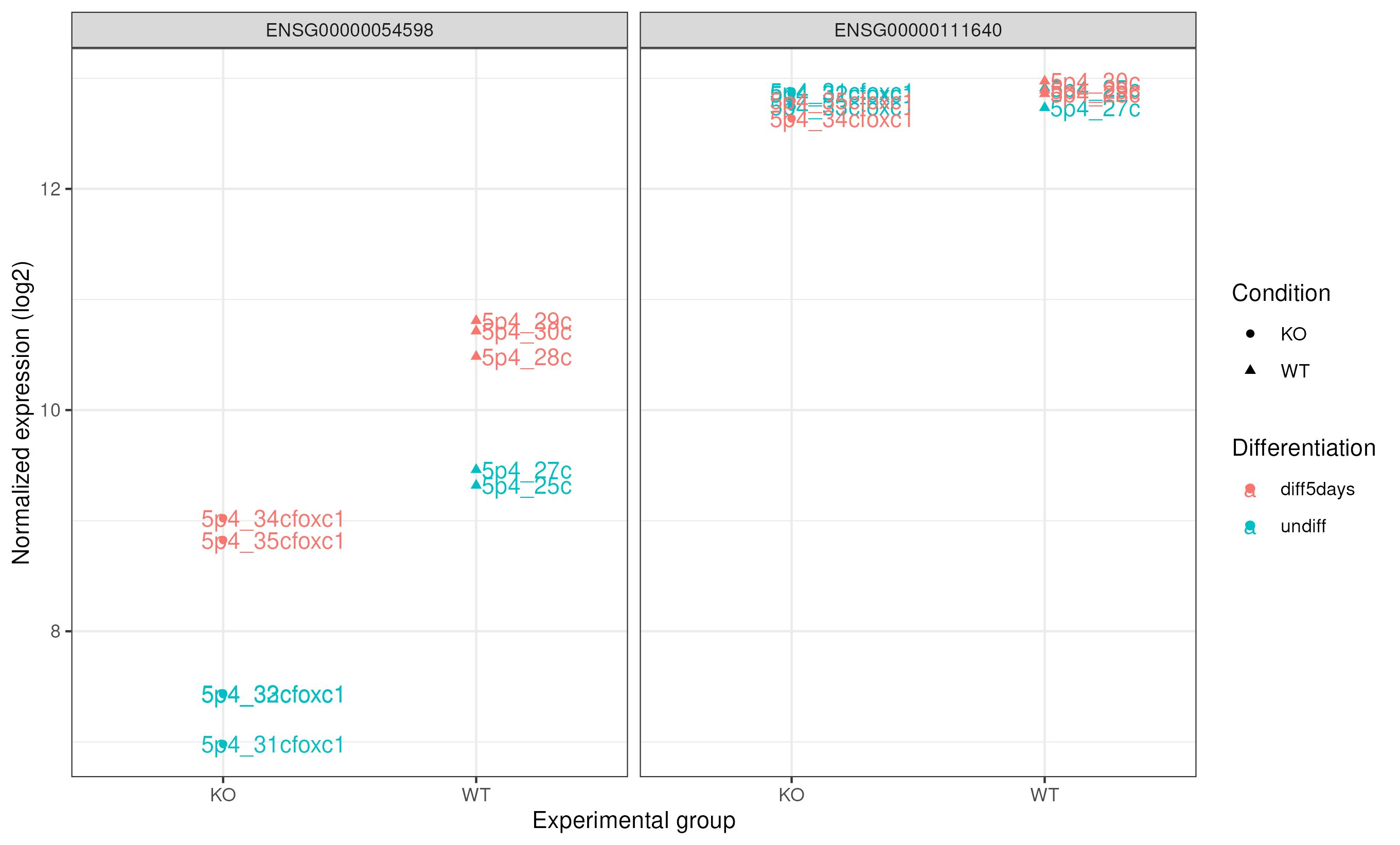 FOXC1 and GAPDH counts