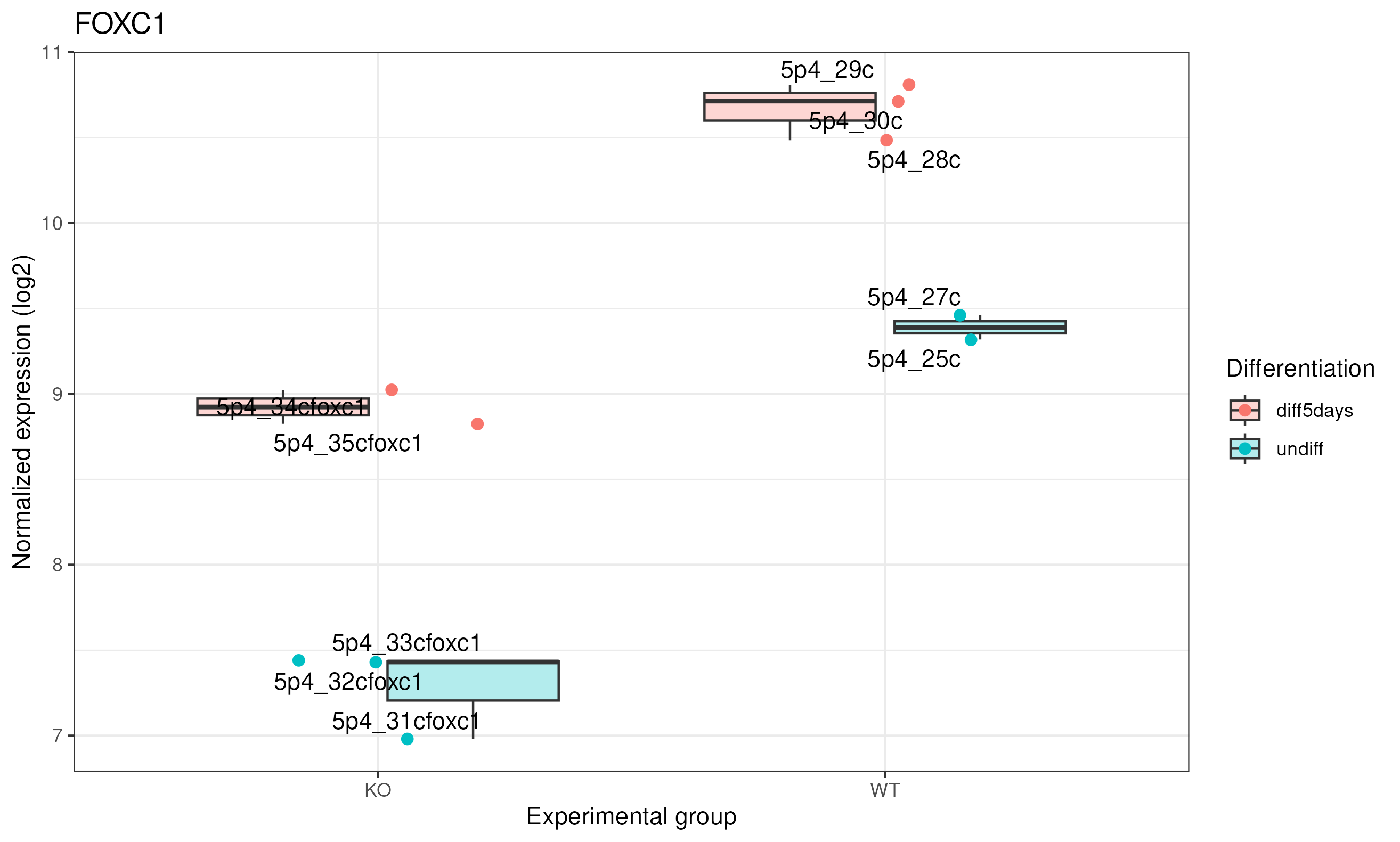 FOXC1 counts detailed