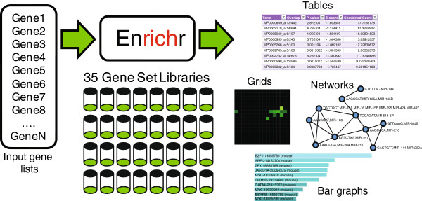 EnrichR paper