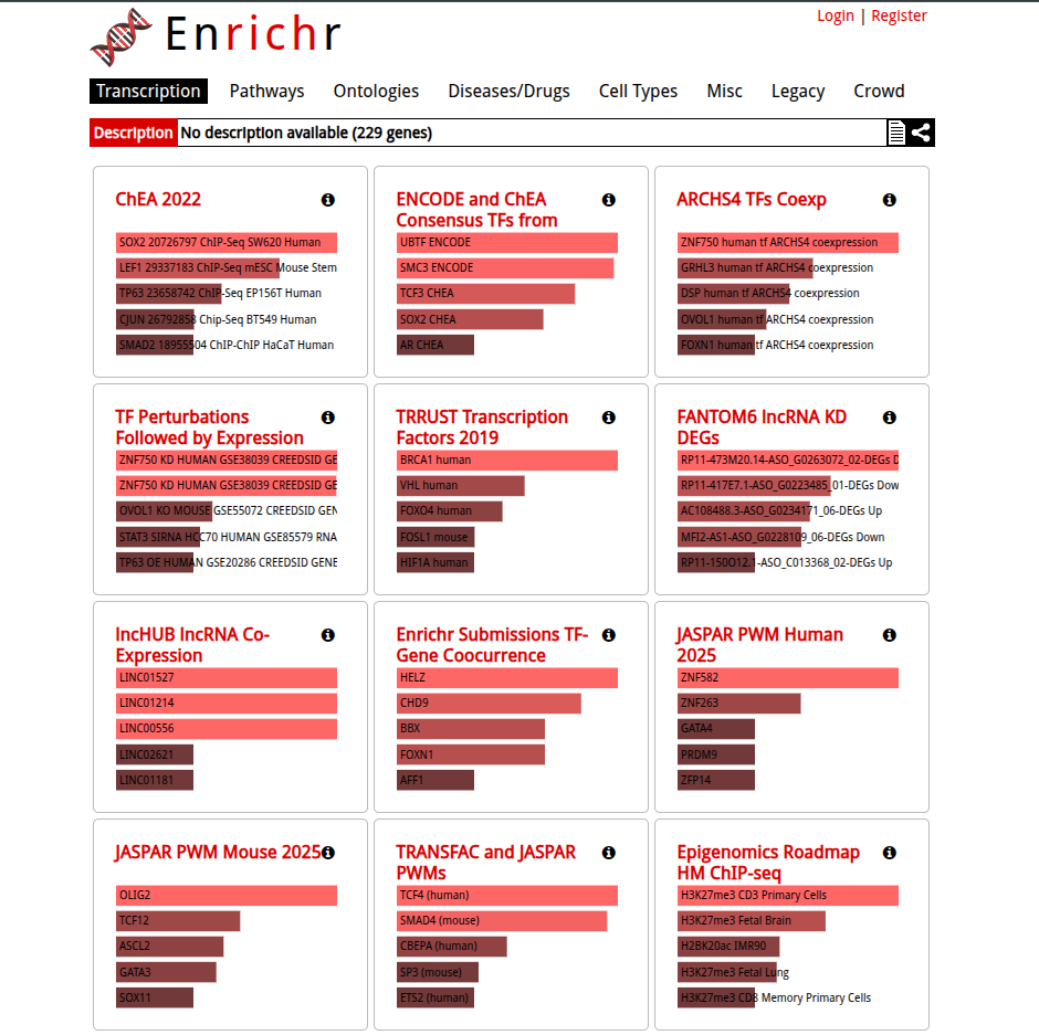 EnrichR all results