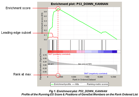 GSEA explained animation