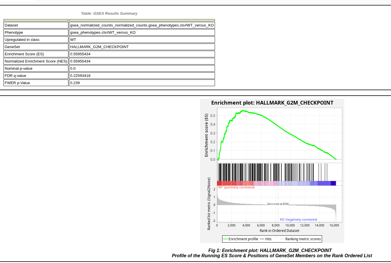 GSEA gene set enrichment plot