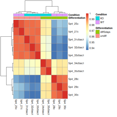 Sample distance heatmap